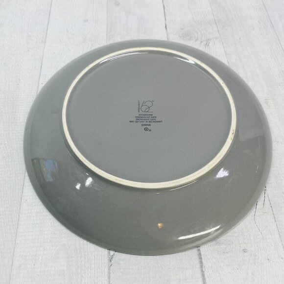 Project 62 Target AVESTA Gray Stoneware Smooth Coupe 10" Dinner Plates Set of 4 - Picture 9 of 16